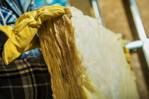 Best Specialized Insulation Services in Mayville, NY