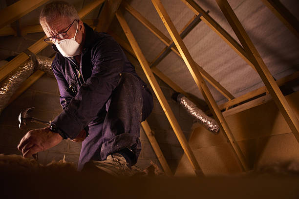 Best DIY Insulation Kits and Guidance in Mayville, NY
